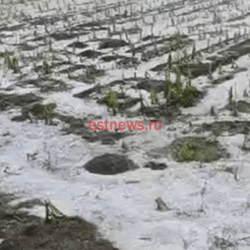 Fermierii solicită o întâlnire de urgență cu Ministerul Agriculturii