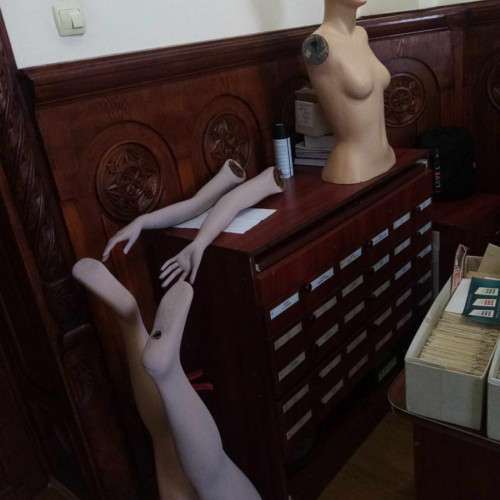 Stela Iorga, apreciată pentru un grupaj de 14 poeme captivante