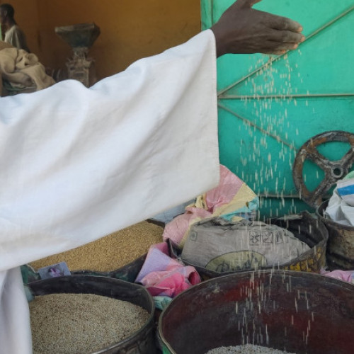 Aproape cinci milioane de oameni, în pragul foametei din cauza războiului civil din Sudan