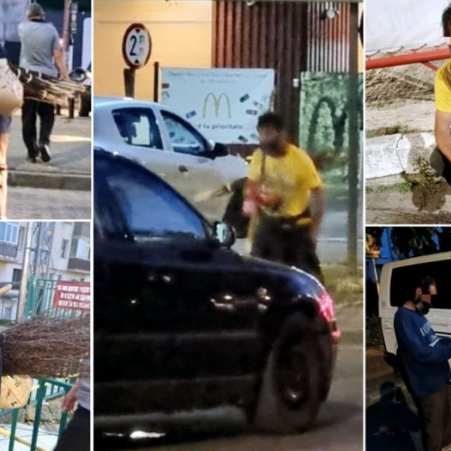 Poliția Locală Pitești cere cetățenilor: "Nu le mai dați nimic!"