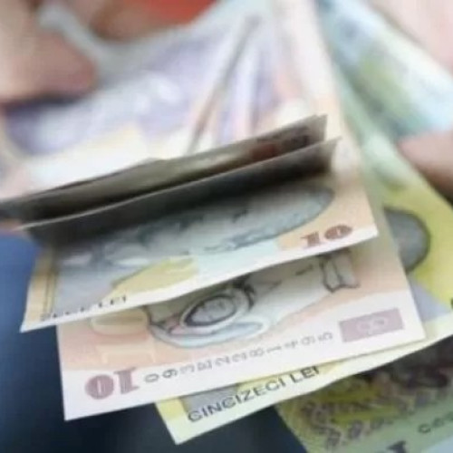 ANOFM lansează un program de stimulente financiare pentru angajatorii care încadrează elevi și studenți