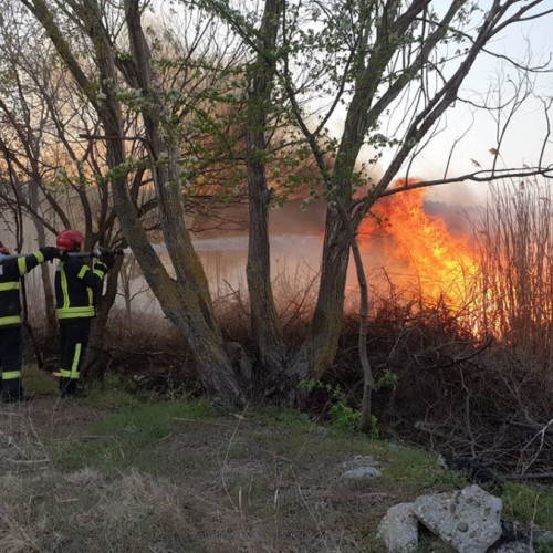 Incendiu devastator de vegetație uscată și fond forestier în localitatea Tulucești
