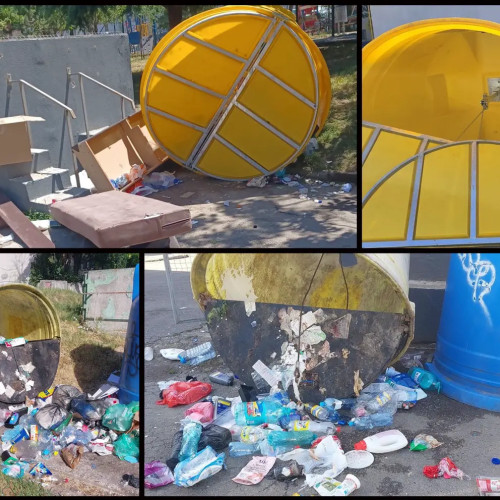 Fenomenul "Scormonitorilor" Terorizează Constanța: Autoritățile Fac Apel la Solidaritate