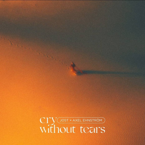 "Cry Without Tears" - Noua Colaborare Între Jost și Axel Ehnstrom: O Plongere în Adâncurile Durerii Ascunse