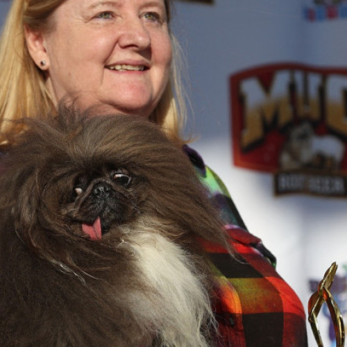 Pechinezul de opt ani &quot;Wild Thang&quot; câștigă titlul de &quot;cel mai urât câine din lume&quot; în 2024