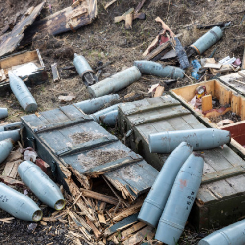 Descoperire impresionantă: 45 de bombe din al Doilea Război Mondial în pădurea din Barnova, Iași