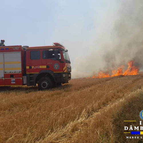 Un alt incendiu de proporții în județul Dâmbovița