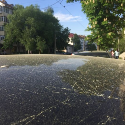 România va fi acoperită de praf saharian între 22 și 24 iunie