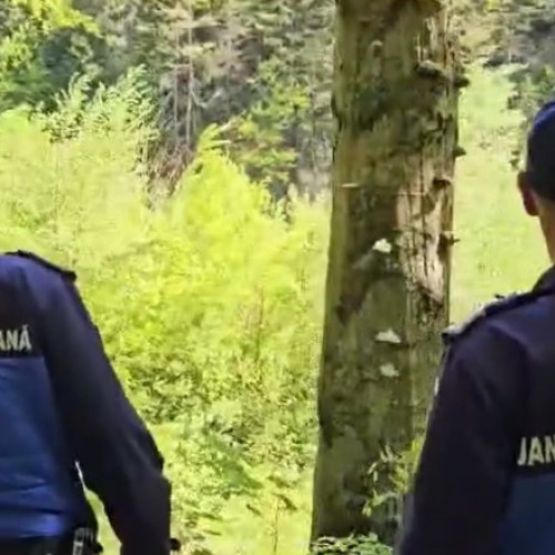 Doi turiști din Republica Moldova atacati de urs la Slănic Moldova