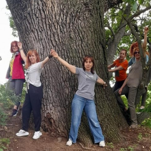 Un copac multisecular atrage atenția prin măreția sa