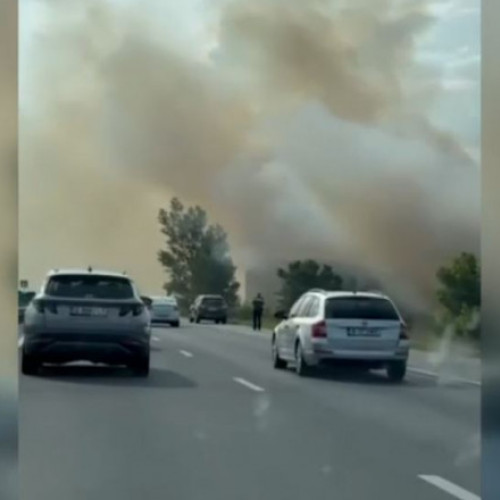 Circulația pe autostrada A2 și pe magistrala feroviară 800 oprită din cauza unui incendiu de vegetație