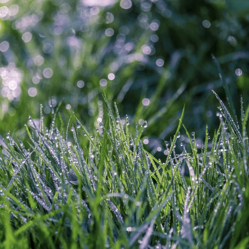 Județul Dâmbovița iese de sub avertizarea meteo de caniculă