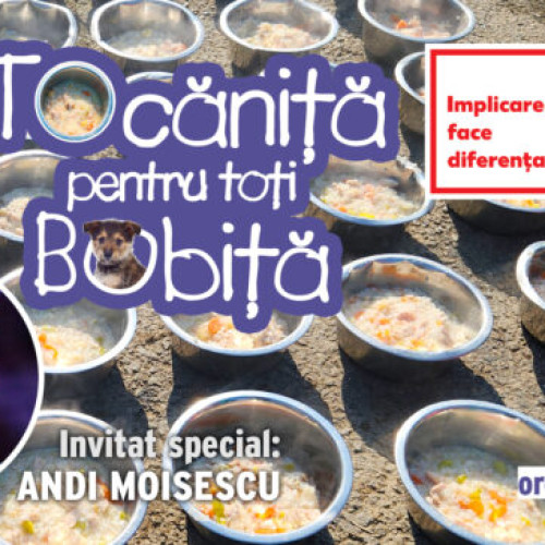 "Tocănița pentru toți Bobiță", eveniment caritabil la Adăpostul Speranța