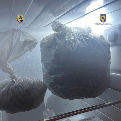 Activitate infractionala in Satu Mare: trafic de droguri de risc