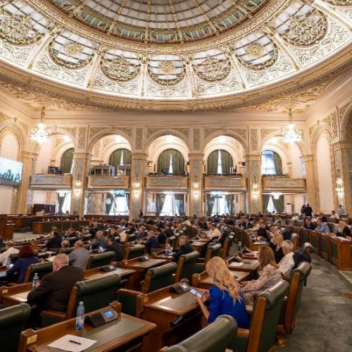 Pedepse mai mari pentru agresorii de copii discutate în Senat