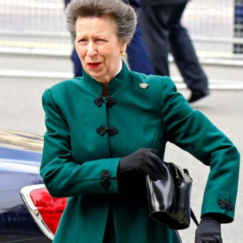 Prințesa Anne a Marii Britanii în recuperare după un accident cu calul