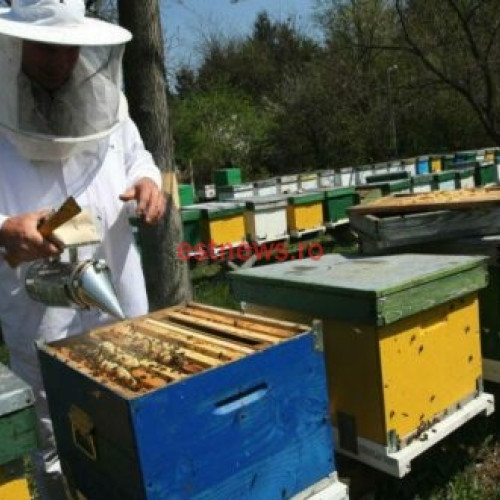 Crescătorii de albine pot depune cererile de plată pentru anul 2024