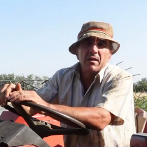 Alegătorii devin tot mai distanți față de partide și liderii lor din cauza stresului provocat de prețuri și facturi