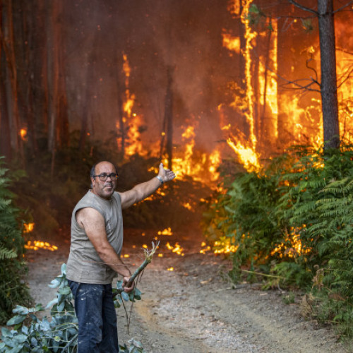Schimbările climatice alimentează incendii mai frecvente și mai intense în Europa