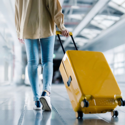 Diaspora se întoarce acasă