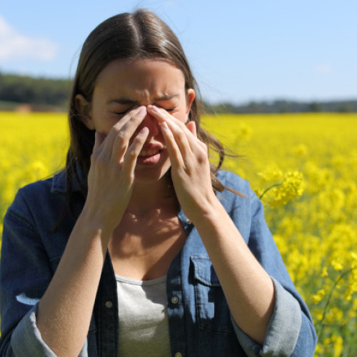 Canicula complică viața persoanelor alergice