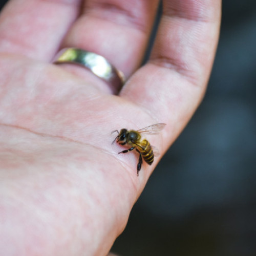 Gluma sinistră la 112 a pus în pericol viața unei femei din Suceava