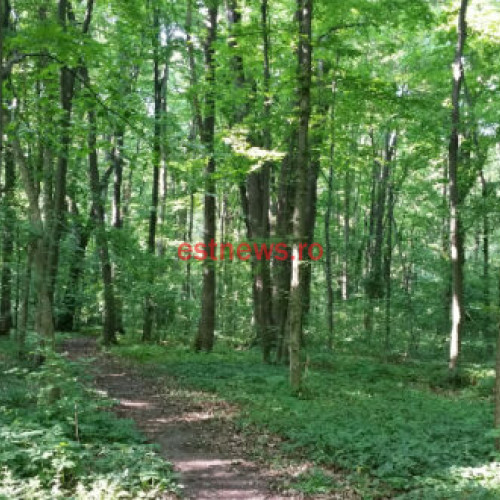 Fermierii pot depune cereri de finanțare pentru schema "Silvo-mediu și climă"