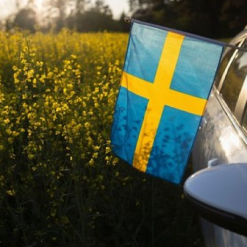 Un oraș suedez încearcă să atragă mai mulți locuitori prin vânzarea de terenuri la prețuri foarte mici