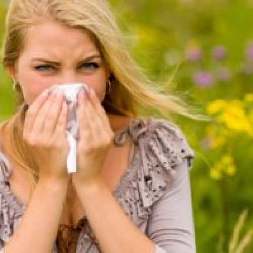 Un nou agent alergenic periculos identificat în România