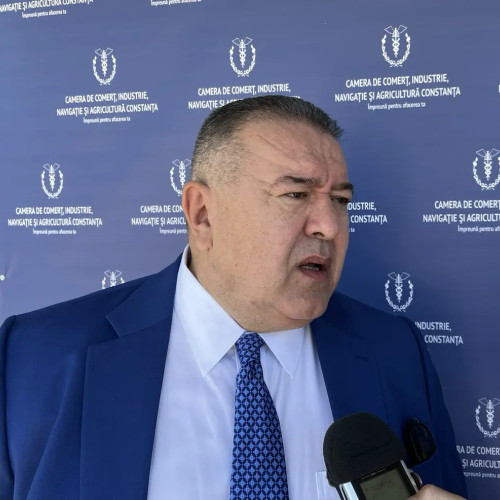 Mihai Daraban subliniază importanța pregătirii României pentru perioada post-război