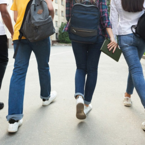 <pre><code class="language-markdown">### Lista cu elevii și studenții care primesc ajutor pentru calculatoare publicată în Monitorul Oficial

Lista cu elevii și studenții care beneficiază de 200 de euro pentru achiziționarea de calculatoare a fost oficializată în data de 25 iunie, când a fost publicată în Monitorul Oficial. Conform Legii nr. 269 din 2004, articolul 4 specifică faptul că acest ajutor financiar reprezintă "echivalentul în lei a 200 de euro pentru un calculator, calculat la cursul de schimb valutar comunicat de Banca Națională a României pentru ultima zi a lunii precedente, fără a depăși valoarea calculatorului achiziționat".

Elevii și studenții care consideră că au fost omişi sau că sunt inadvertențe în lista publicată au la dispoziție un interval limitat pentru a depune contestații. Perioada stabilită pentru depunerea contestațiilor este între 1 și 4 iulie, conform calendarului oficial dat publicității.

Pentru a fi eligibili pentru acest ajutor financiar, venitul maxim brut lunar pe membru de familie nu trebuie să depășească suma de 500 lei. Această condiție este detaliată în ordinul oficial aferent programului și este esențială pentru selecția beneficiarilor.

Astfel, se asigură că ajutorul financiar ajunge la cei care au cu adevărat nevoie de suport pentru achiziționarea unui calculator, contribuind la facilitarea accesului la educație prin intermediul tehnologiei moderne.
</code></pre>
