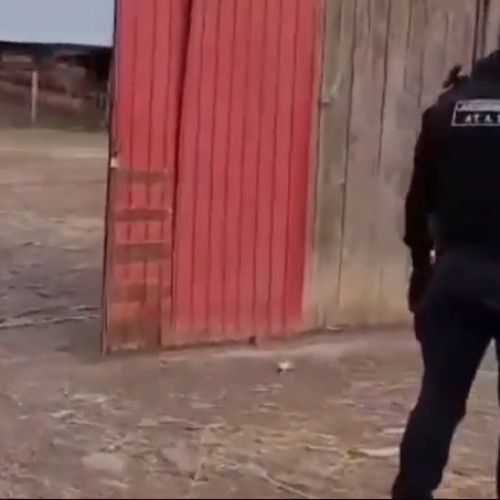 Şapte persoane, printre care și o minoră, salvate de DIICOT din condiții de muncă forțată la o fermă