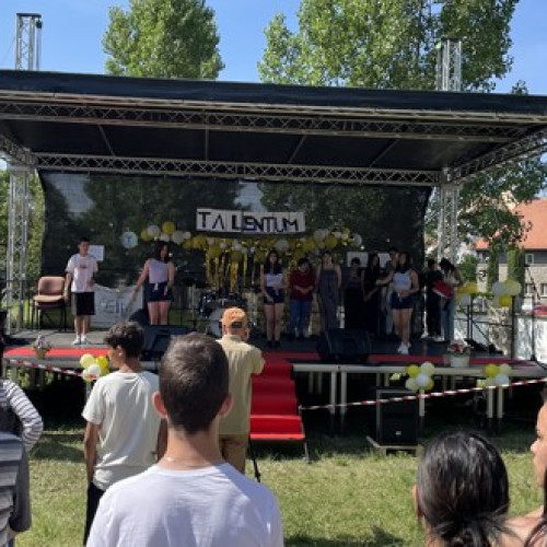 "Zilele Talentelor" în Harghita: un festival de creativitate și artă pentru copiii din centrele de plasament