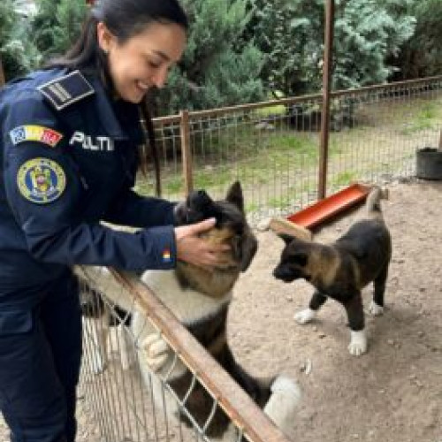 Poliția Animalelor Brașov a deschis 20 de dosare penale în trei luni