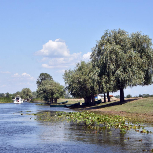 Ziua Internațională a Dunării celebrată în cele 14 state riverane