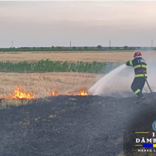 Incendiu de vegetație în satul Broșteni din comuna Vișina