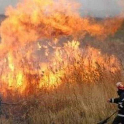 Incendiu de vegetație la marginea localității Răuseni – intervenție dificilă a pompierilor