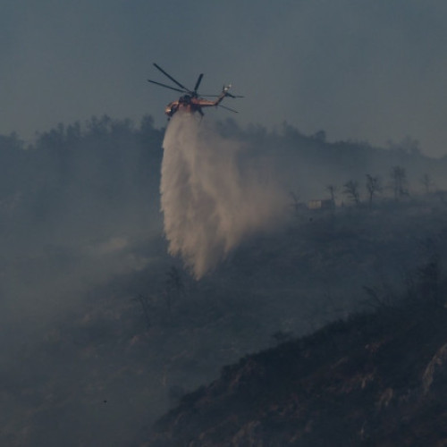 Incendiu de pădure pe Muntele Parnitha: autoritățile în alertă