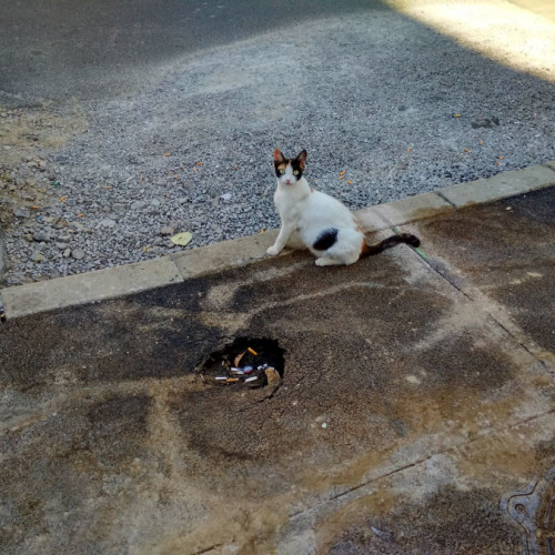 Surpare pe trotuarul din Micro 19: problema continuă