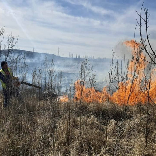 Incendiu de vegetație uscată în comuna Cojasca, satul Iazu