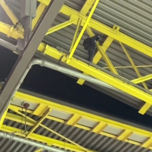 Un bărbat mascat a fost arestat pe acoperișul stadionului din Dortmund în timpul meciului Germania-Danemarca