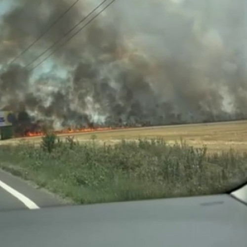 Incendiu de amploare în Prahova
