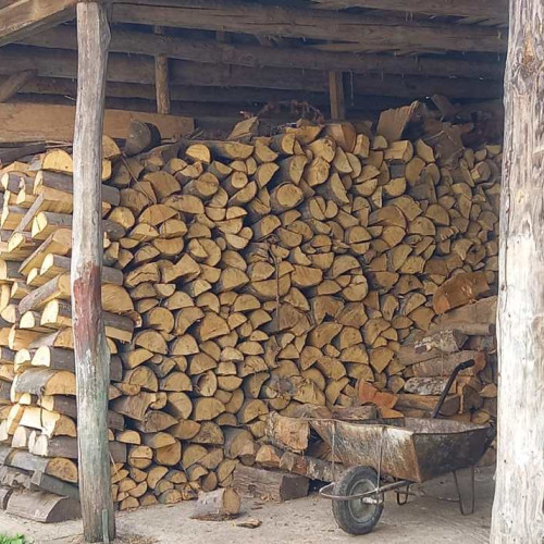 Școala din Botoșani alocă 25.000 lei pentru pregătirea lemnelor de foc