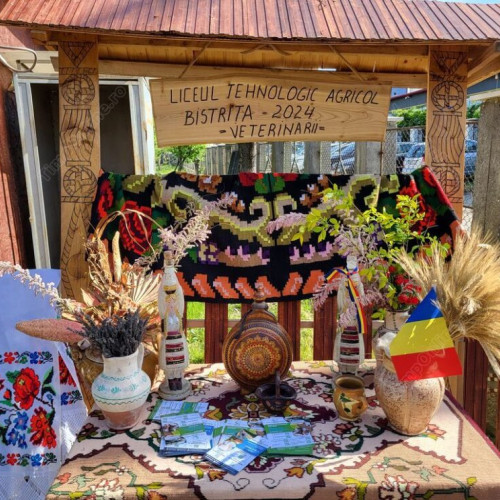 Învățământul dual: o formă inovatoare de educație profesională și tehnică