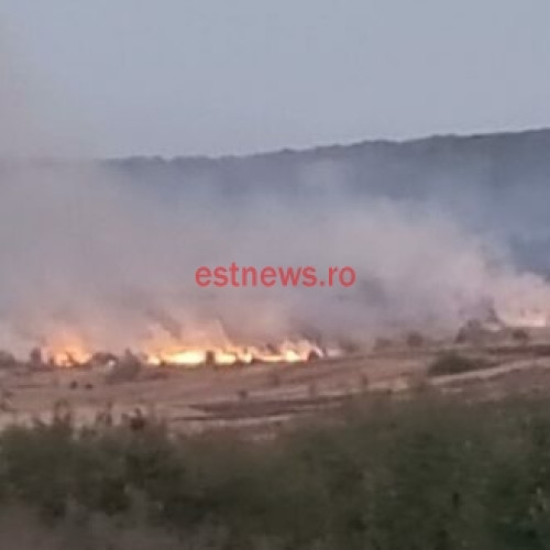 Incendiu de vegetație în comuna Fălciu, limitat de pompieri și silvicultori