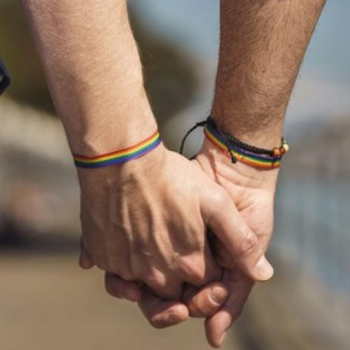 Letonia adopta parteneriate civile pentru cuplurile de același sex