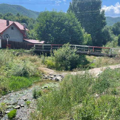 Cinci poduri din comuna Livezile vor fi modernizate