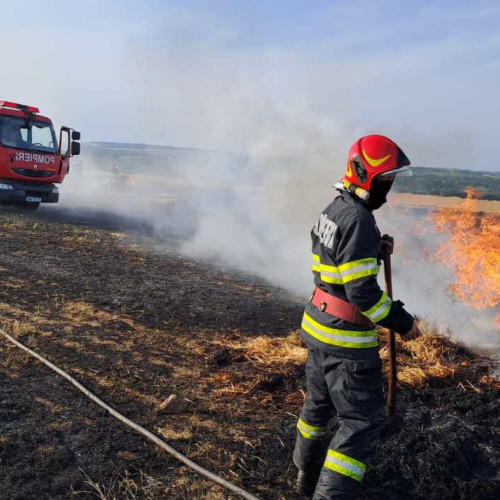 Incendiu la Miorcani: Patru hectare de grâu netreierat și alte două hectare de miriște făcute scrum