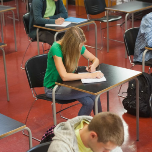 Elevii de clasa a XII-a susțin a doua probă a Bacalaureatului 2024