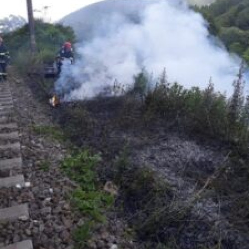 Trafic feroviar oprit temporar între Predeal și Brașov din cauza unui incendiu de vegetație